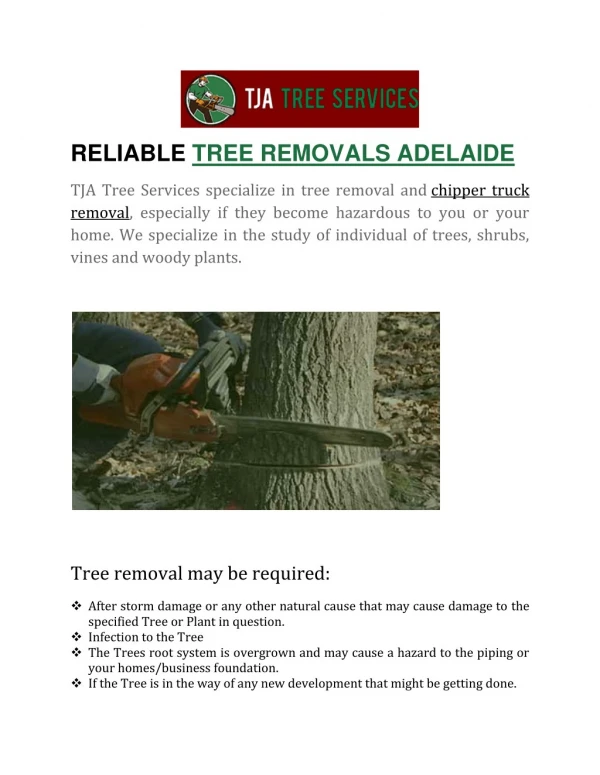 RELIABLE TREE REMOVALS ADELAIDE