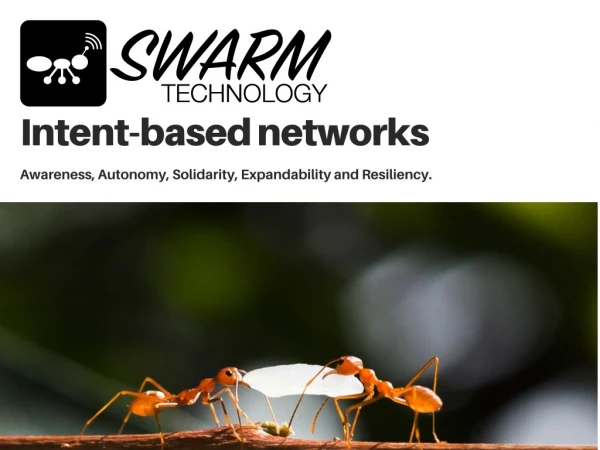 Swarm Intelligence Services | Swarm Technology