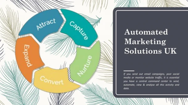 Automated Marketing Solutions UK