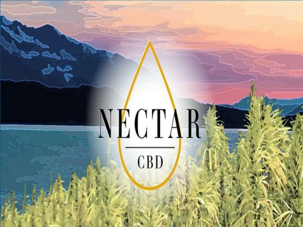 Buy CBD Rich Hemp Oil and Drops Online | Nectar CBD