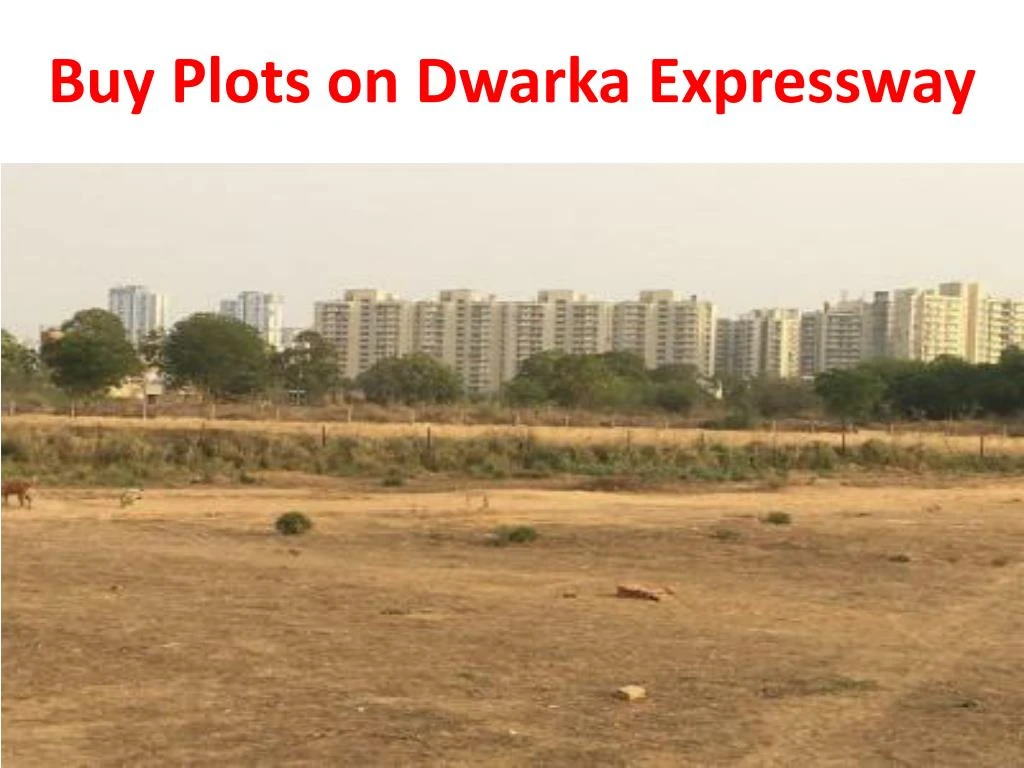 buy plots on dwarka expressway