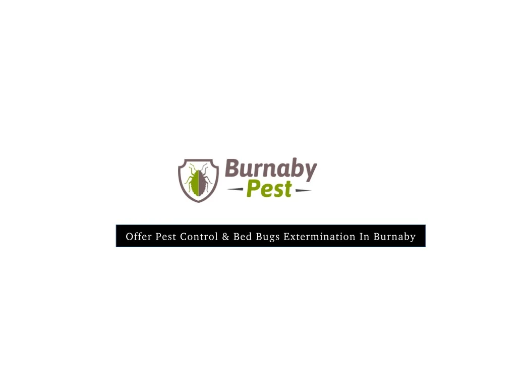 offer pest control bed bugs extermination
