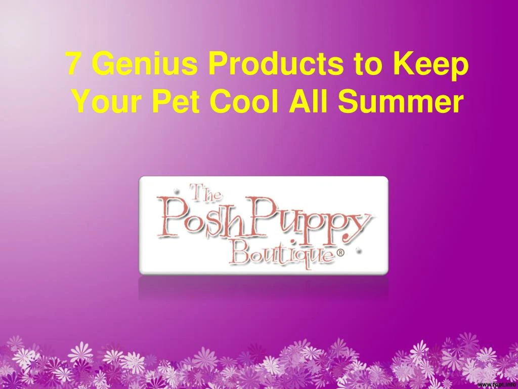 7 genius products to keep your pet cool all summer