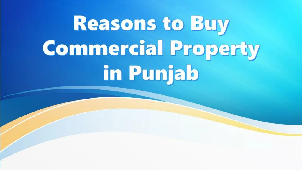 reasons to buy commercial property in punjab