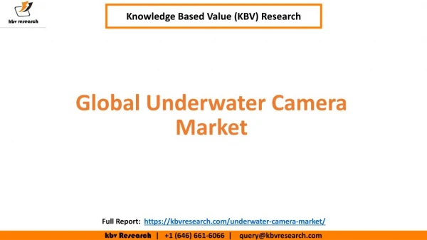 Global Underwater Camera Market Size and Segmentation
