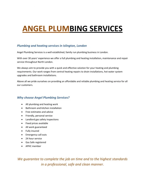 Angel Plumbing Services