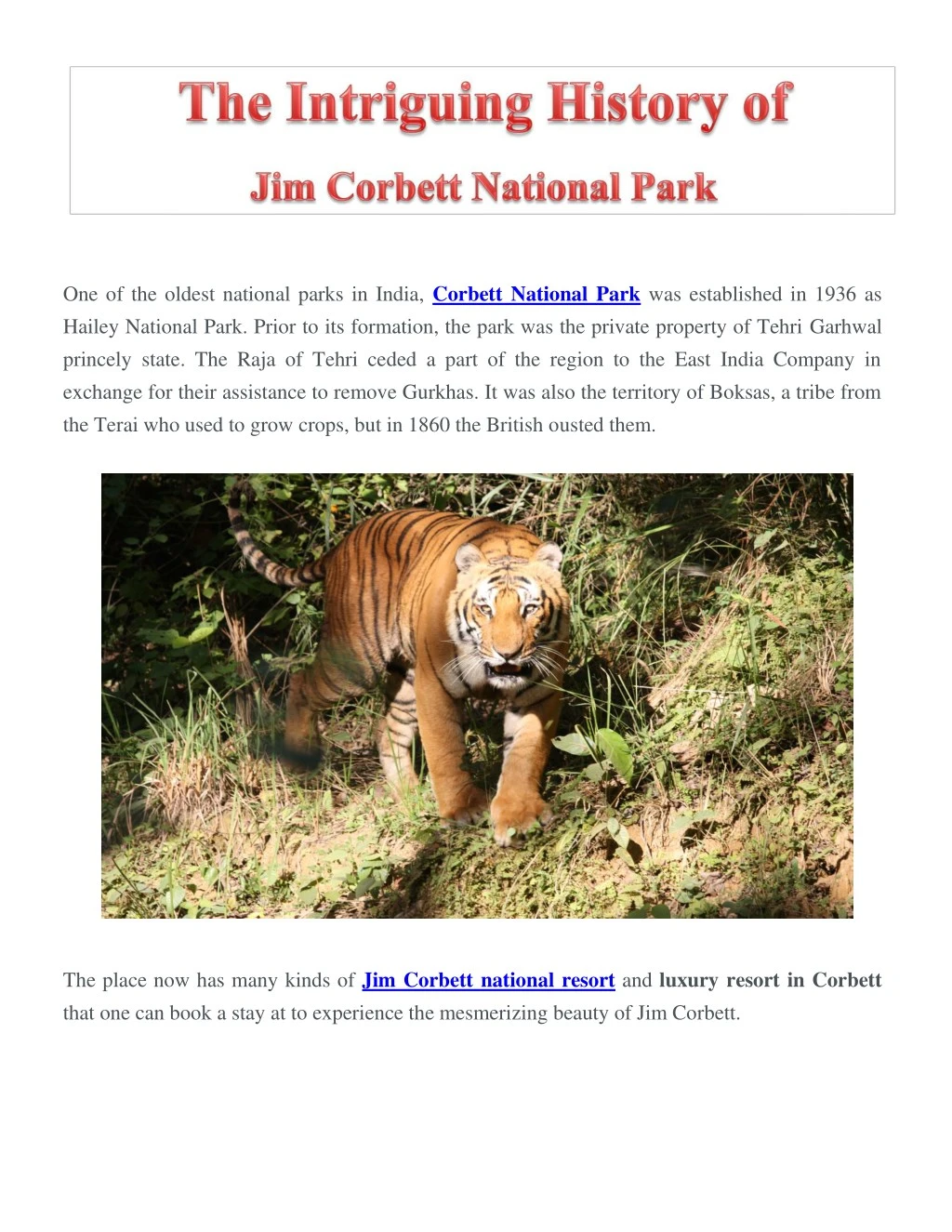 one of the oldest national parks in india corbett
