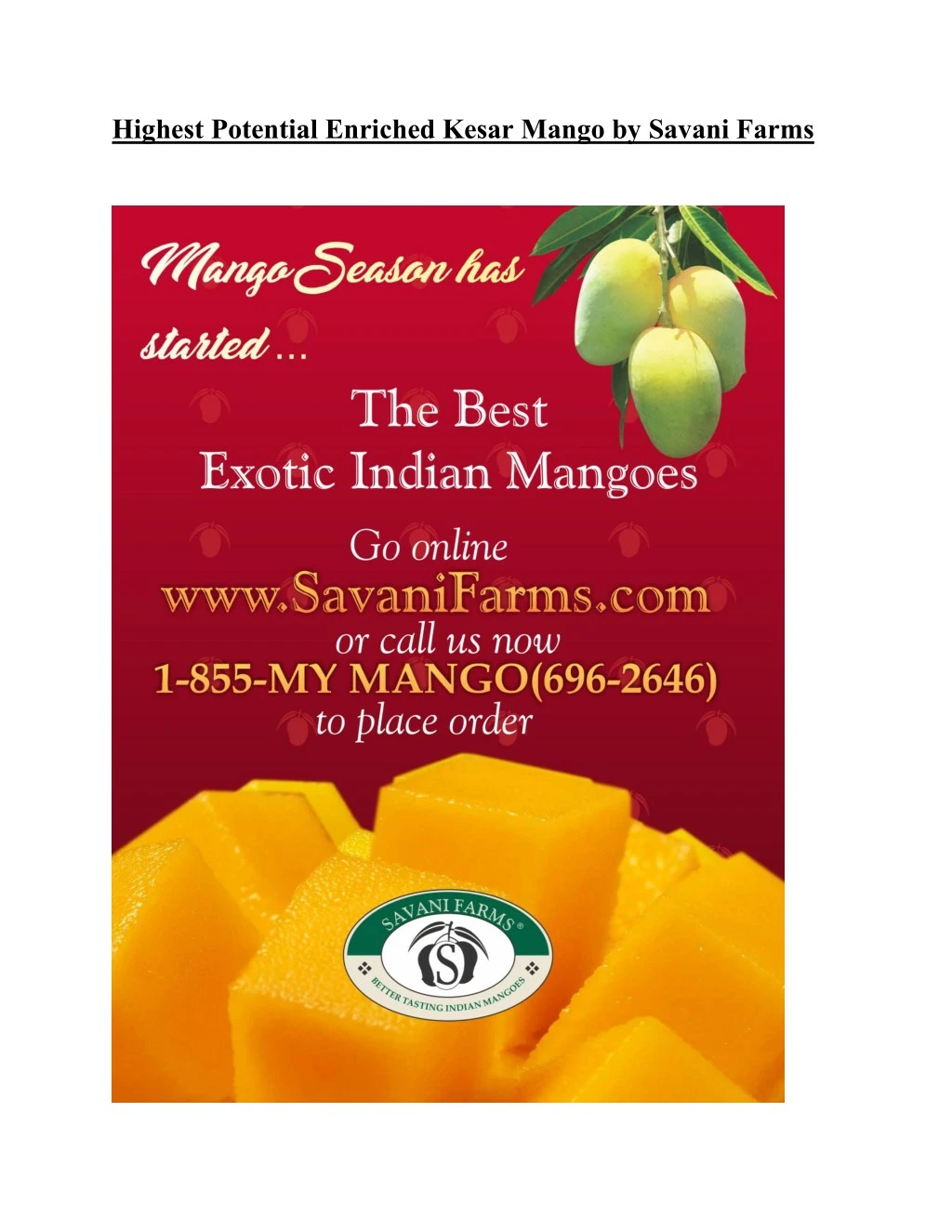 highest potential enriched kesar mango by savani