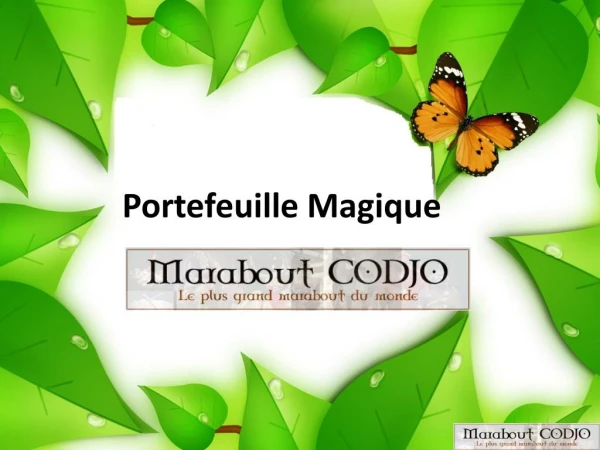 Portefeuille Magique