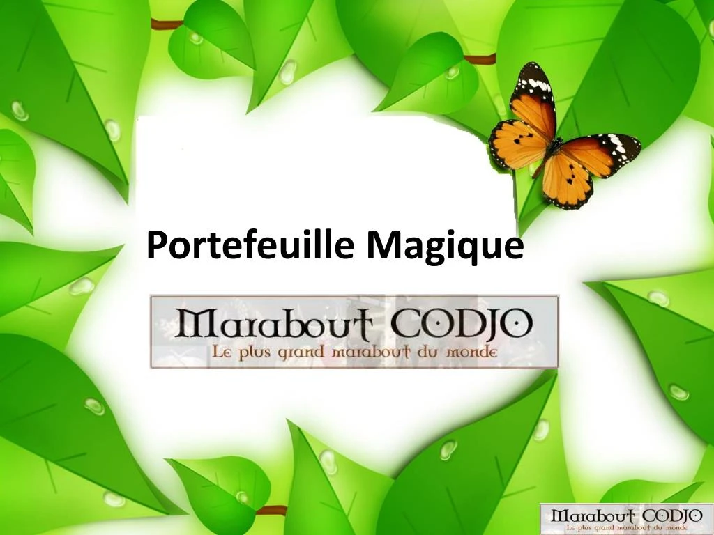 portefeuille magique