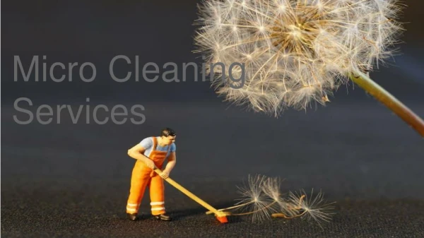 Cleaning services in Abu Dhabi | Micro Cleaning Services