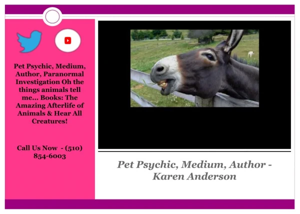 Animal Communication Tips, Author - Karen Anderson
