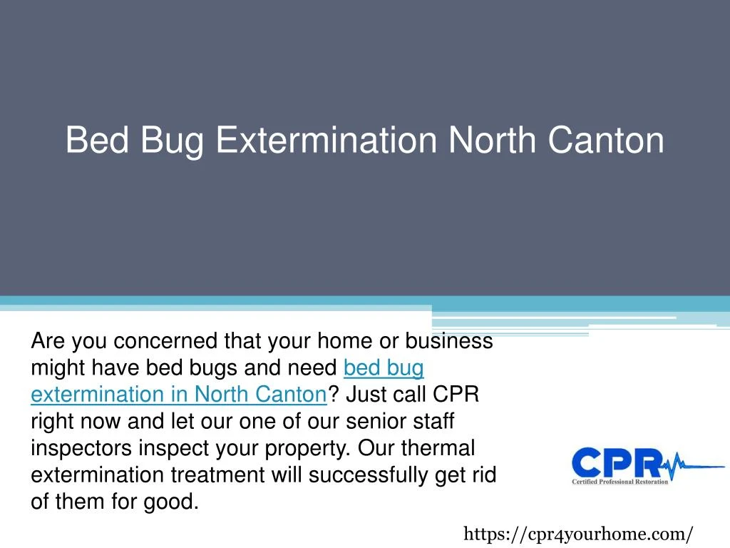 bed bug extermination north canton