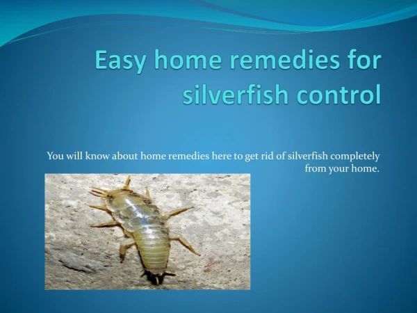 EASY HOME REMEDIES FOR SILVERFISH CONTROL