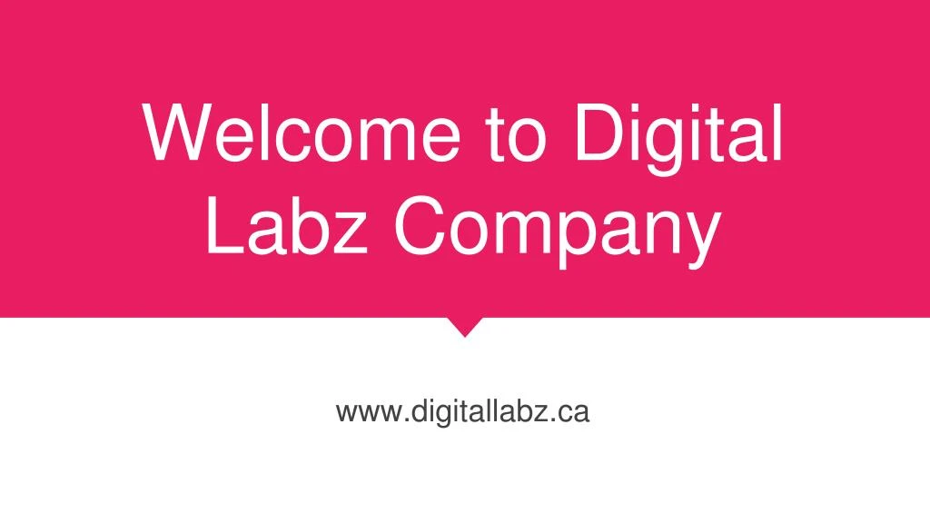 welcome to digital labz company