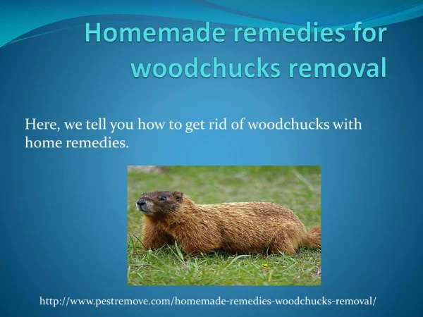 HOMEMADE REMEDIES FOR WOODCHUCKS REMOVAL