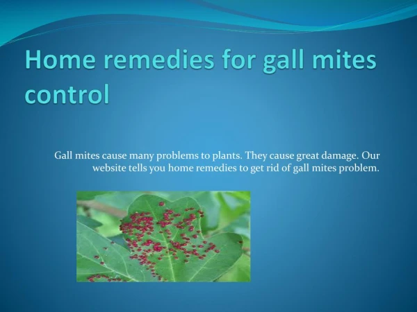 HOME REMEDIES FOR GALL MITES CONTROL