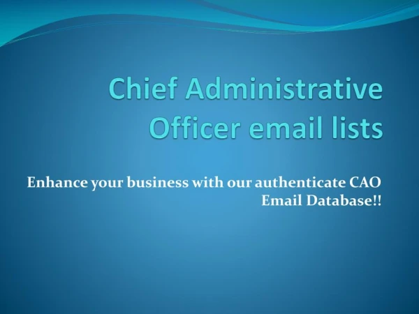 Chief Accounting Officers Email Database