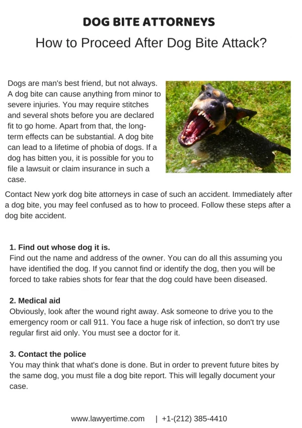 How to Proceed After Dog Bite Attack