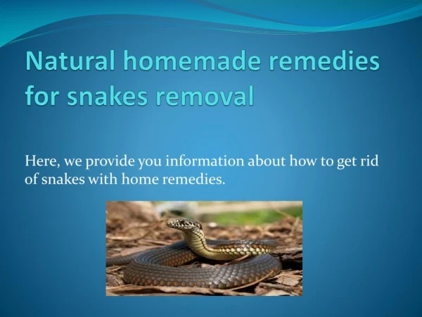 NATURAL HOMEMADE REMEDIES FOR SNAKES REMOVAL