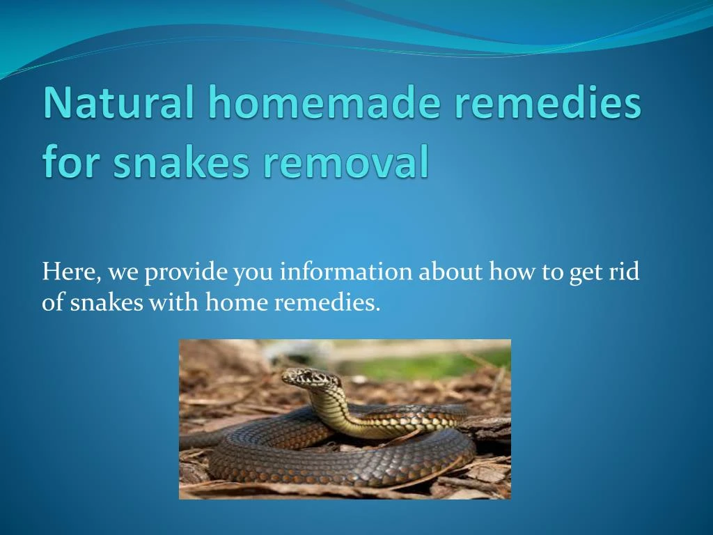 natural homemade remedies for snakes removal