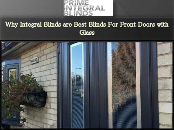 Why Integral Blinds are Best Blinds For Front Doors with Glass