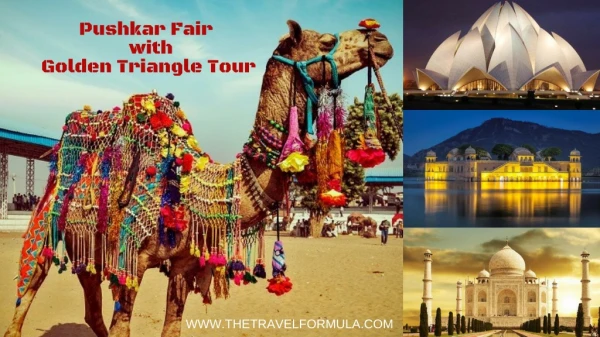 Golden Triangle Tour with Pushkar Fair