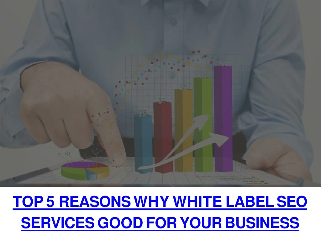 top5 reasonswhy white labelseo