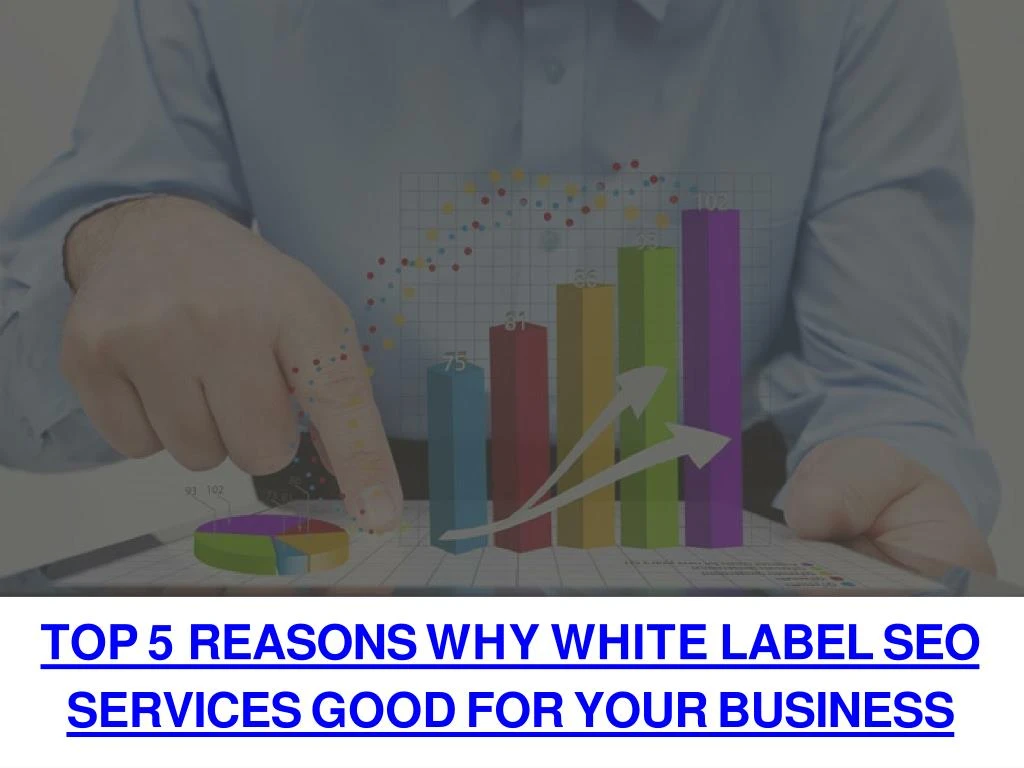 top 5 reasons why white label seo services good for your business