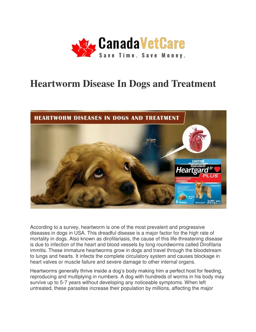 heartworm disease in dogs and treatment
