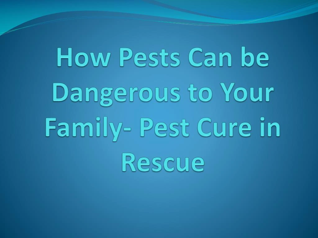 how pests can be dangerous to your family pest cure in rescue