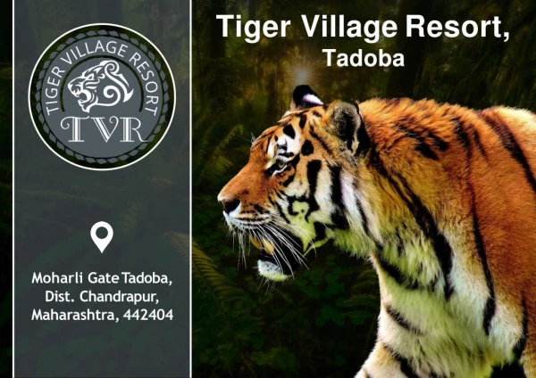 Tadoba Tiger Village Resorts in TATR