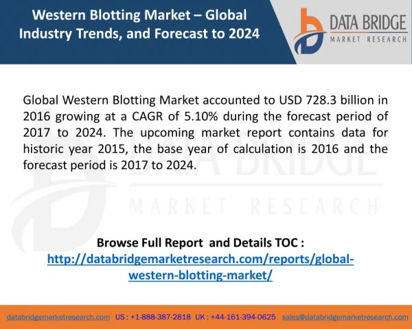 Global Western Blotting Market – Industry Trends and Forecast to 2024