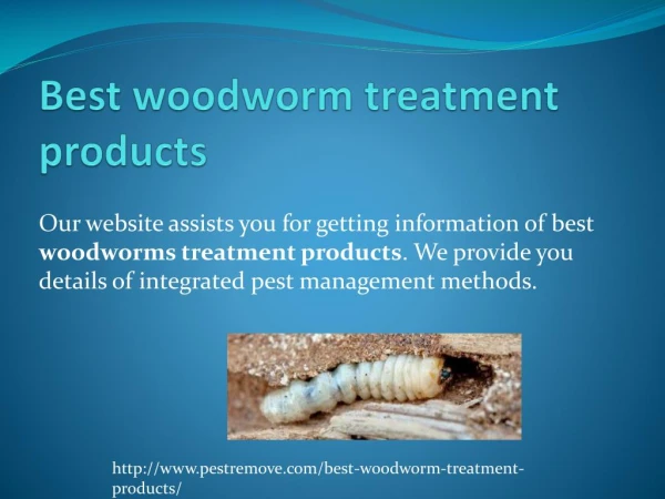 BEST WOODWORM TREATMENT PRODUCTS