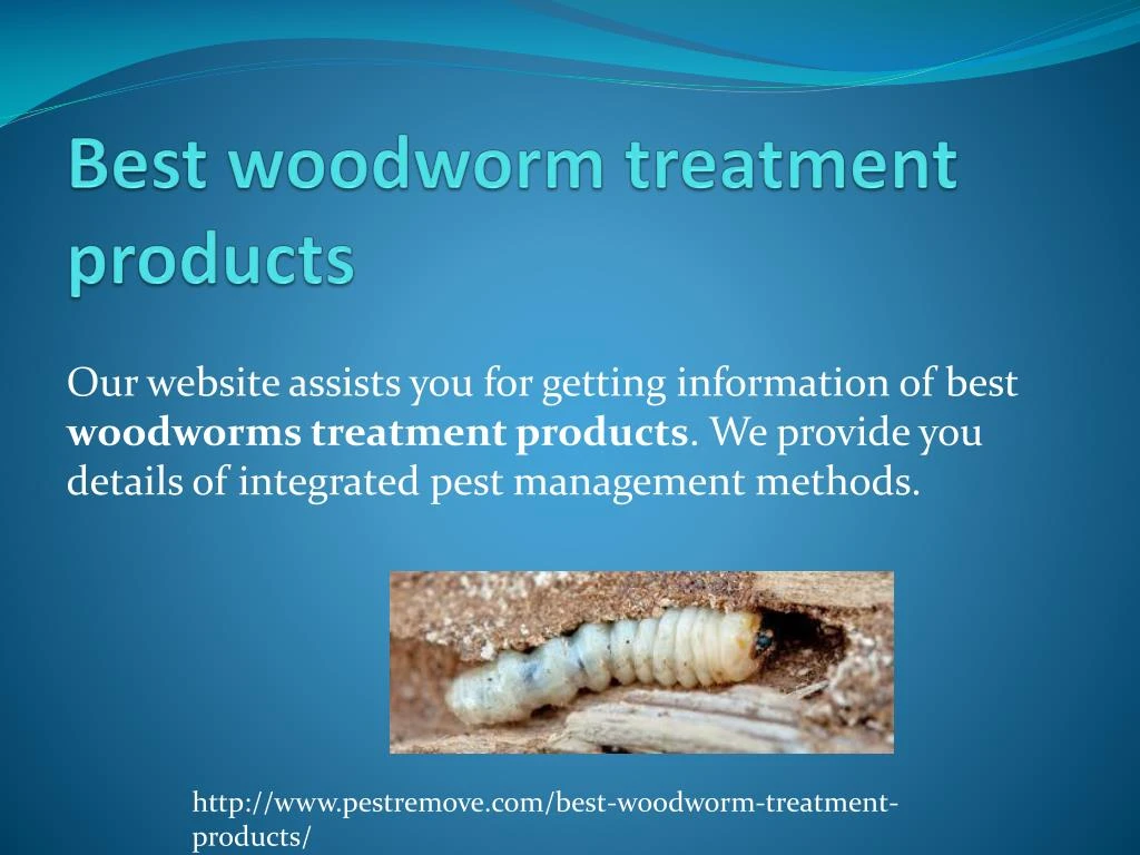 best woodworm treatment products