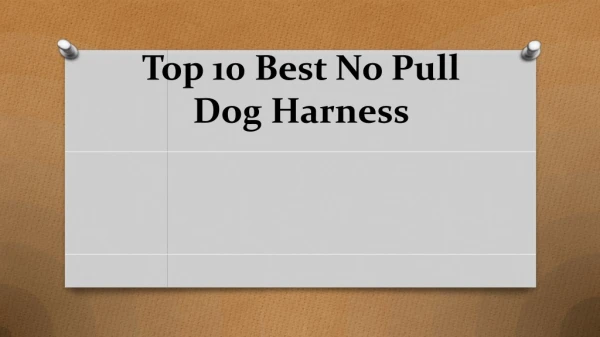 Top 10 best no pull dog harness