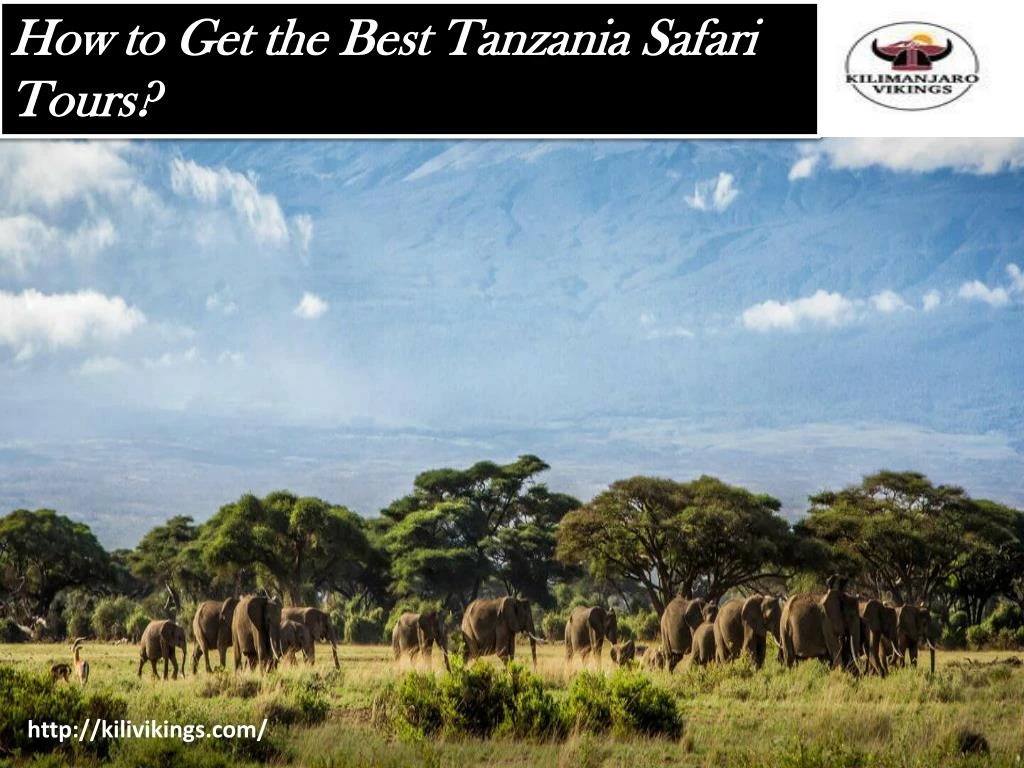 how to get the best tanzania safari tours