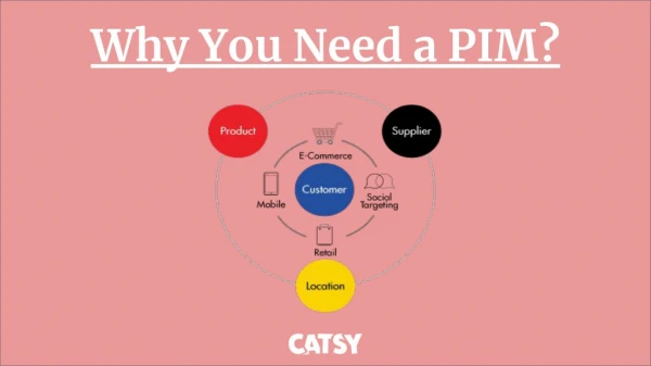 Why you need a PIM?