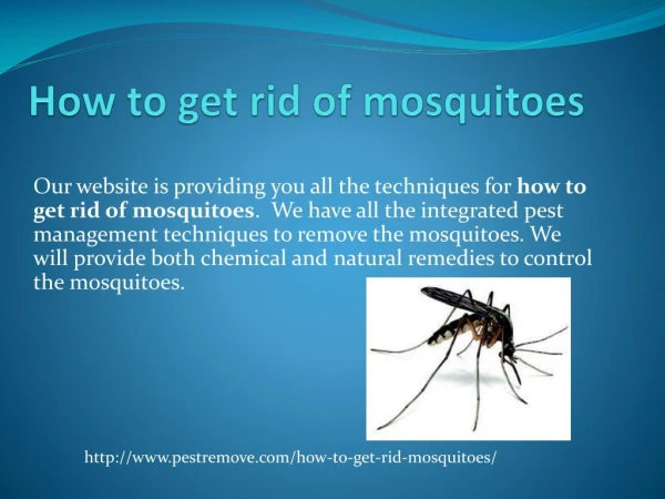 HOW TO GET RID OF MOSQUITOES