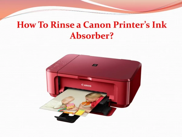 How To Rinse a Canon Printerâ€™s Ink Absorber?