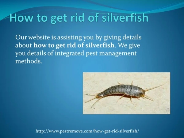 HOW TO GET RID OF SILVERFISH