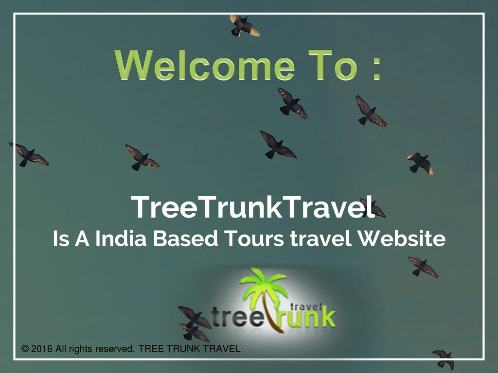 treetrunktravel is a india based tours travel