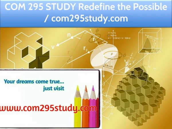 COM 295 STUDY Redefine the Possible / com295study.com