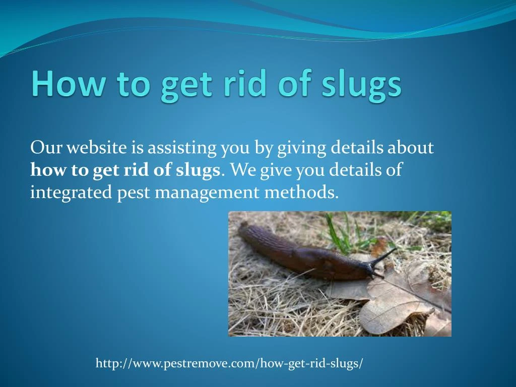 how to get rid of slugs