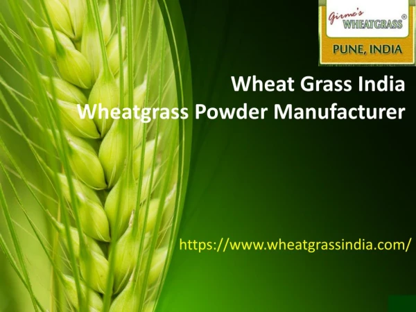 Wheatgrass India | Wheatgrass Powder Manufacturer