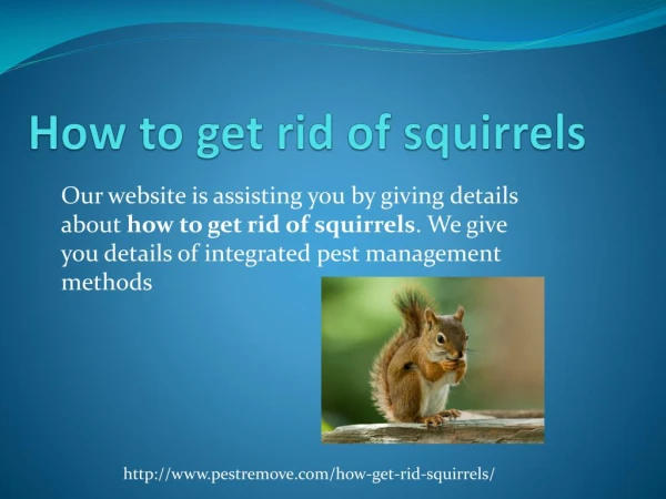 HOW TO GET RID OF SQUIRRELS