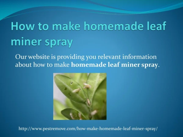 HOW TO MAKE HOMEMADE LEAF MINER SPRAY