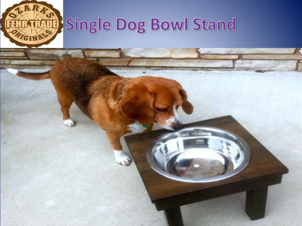single dog bowl stand