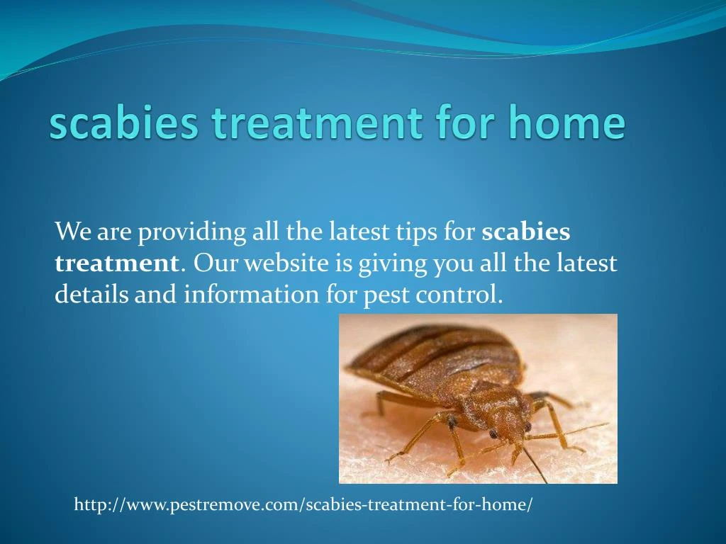 scabies treatment for home