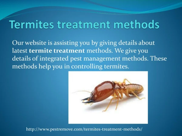 TERMITES TREATMENT METHODS